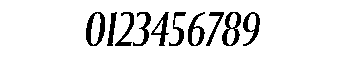 Collier Compressed Book Italic Font OTHER CHARS