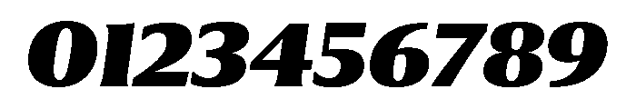 Collier Condensed Black Italic Font OTHER CHARS