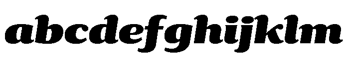 Collier Condensed Extra Black Italic FONT