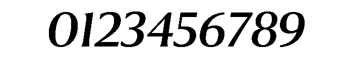 Collier Regular Italic Font OTHER CHARS