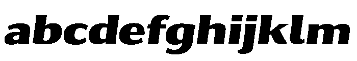 Collier Sans Black Italic FONT