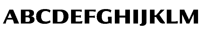 Collier Sans Bold Font UPPERCASE