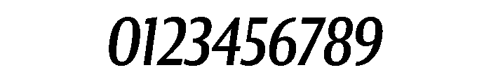 Collier Sans Compressed Regular Italic Font OTHER CHARS