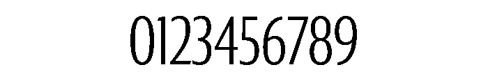 Collier Sans Compressed Thin Font OTHER CHARS