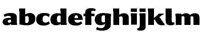 Collier Sans Condensed Black FONT