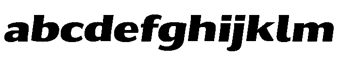 Collier Sans Extended Black Italic FONT