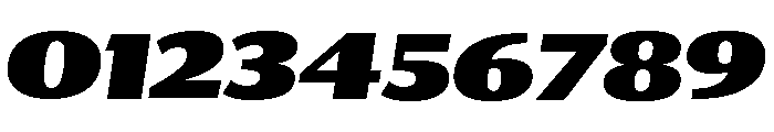 Collier Sans Extended Extra Black Italic Font OTHER CHARS