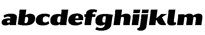 Collier Sans Extra Black Italic FONT
