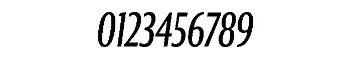 Collier Sans Extra Compressed Book Italic Font OTHER CHARS