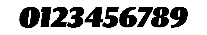 Collier Sans Extra Compressed Extra Black Italic Font OTHER CHARS