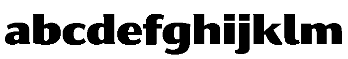Collier Sans Extra Condensed Black FONT