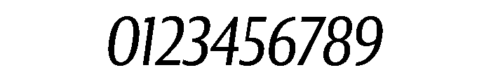 Collier Sans Extra Condensed Light Italic Font OTHER CHARS