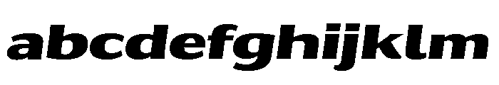 Collier Sans Extra Wide Black Italic FONT