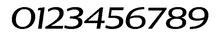 Collier Sans Extra Wide Book Italic Font OTHER CHARS