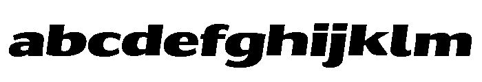 Collier Sans Extra Wide Extra Black Italic FONT