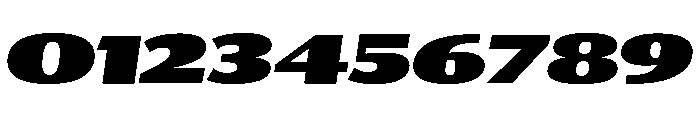 Collier Sans Extra Wide Ultra Italic Font OTHER CHARS