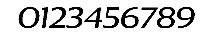 Collier Sans Wide Book Italic Font OTHER CHARS
