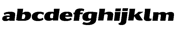 Collier Sans Wide Extra Black Italic FONT