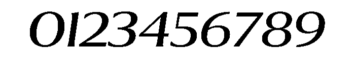 Collier Wide Book Italic Font OTHER CHARS