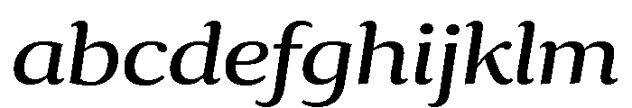 Collier Wide Book Italic FONT