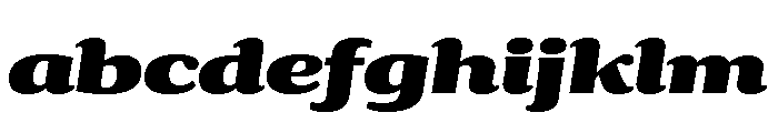 Collier Wide Extra Black Italic FONT