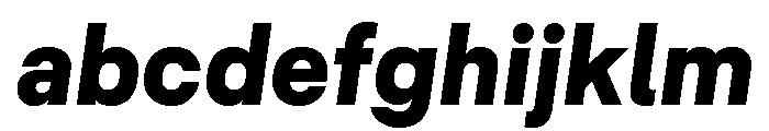 Common Shapes Black Italic FONT
