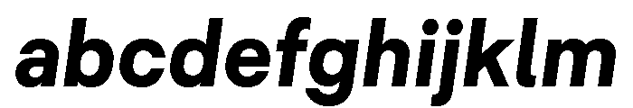 Common Shapes Bold Italic FONT