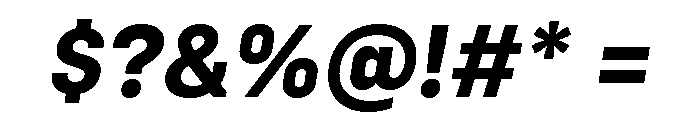 Config Bold Italic Font OTHER CHARS
