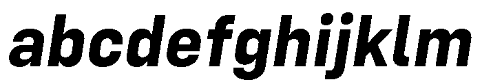 Config Bold Italic FONT