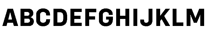Config Bold Font UPPERCASE