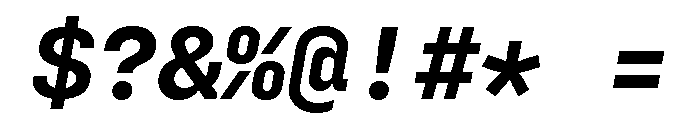 Config Mono Bold Italic Font OTHER CHARS
