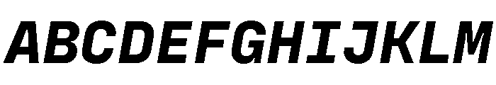Config Mono Bold Italic Font UPPERCASE