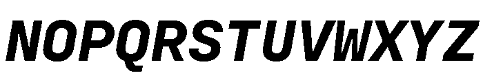 Config Mono Bold Italic Font UPPERCASE