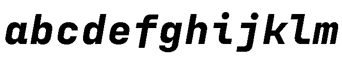 Config Mono Bold Italic FONT