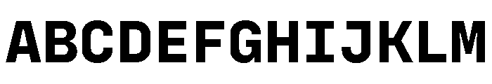 Config Mono Bold Font UPPERCASE