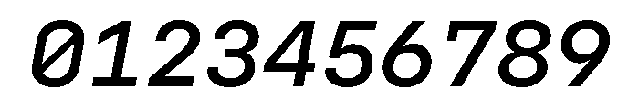 Config Mono Medium Italic Font OTHER CHARS