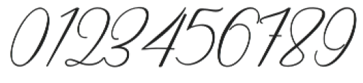 Creative Signature otf (400) Font OTHER CHARS