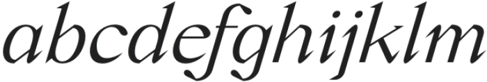 Crucial Light Italic otf (300) Font LOWERCASE