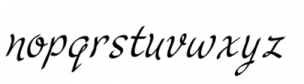 Cruz Script Calligraphic Pro Font LOWERCASE