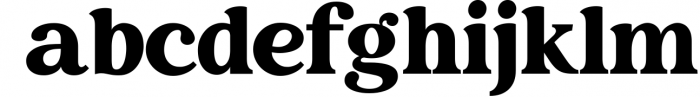 Creative Vintage Serif & Script fonts Font LOWERCASE