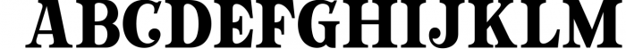 Crotila - Serif Display Font LOWERCASE