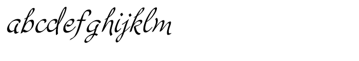 Cruz Script Calligraphic Font LOWERCASE