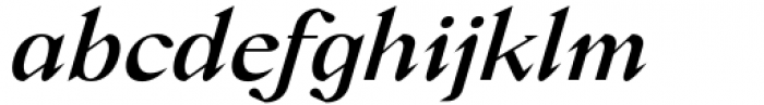 Crucial Medium Italic Font LOWERCASE