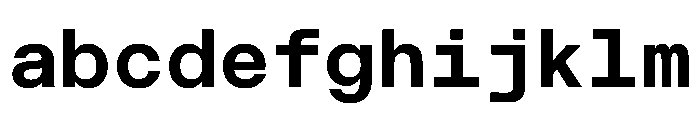 CritMono Bold E28f6761 FONT