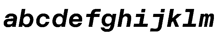 CritMono BoldItalic B71e2254 FONT