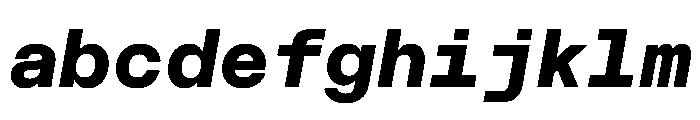 CritMono ExtraboldItalic D4a253fd FONT