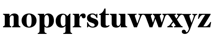 AustinText Bold Reduced Font LOWERCASE