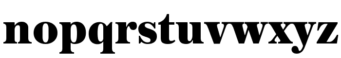 AustinText Fat Reduced Font LOWERCASE
