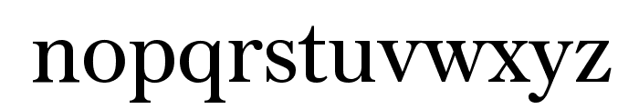 AustinText Roman Reduced Font LOWERCASE
