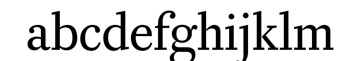 CaponiDisplay RegularNo2 Reduced Font LOWERCASE